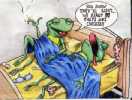humour image grenouille